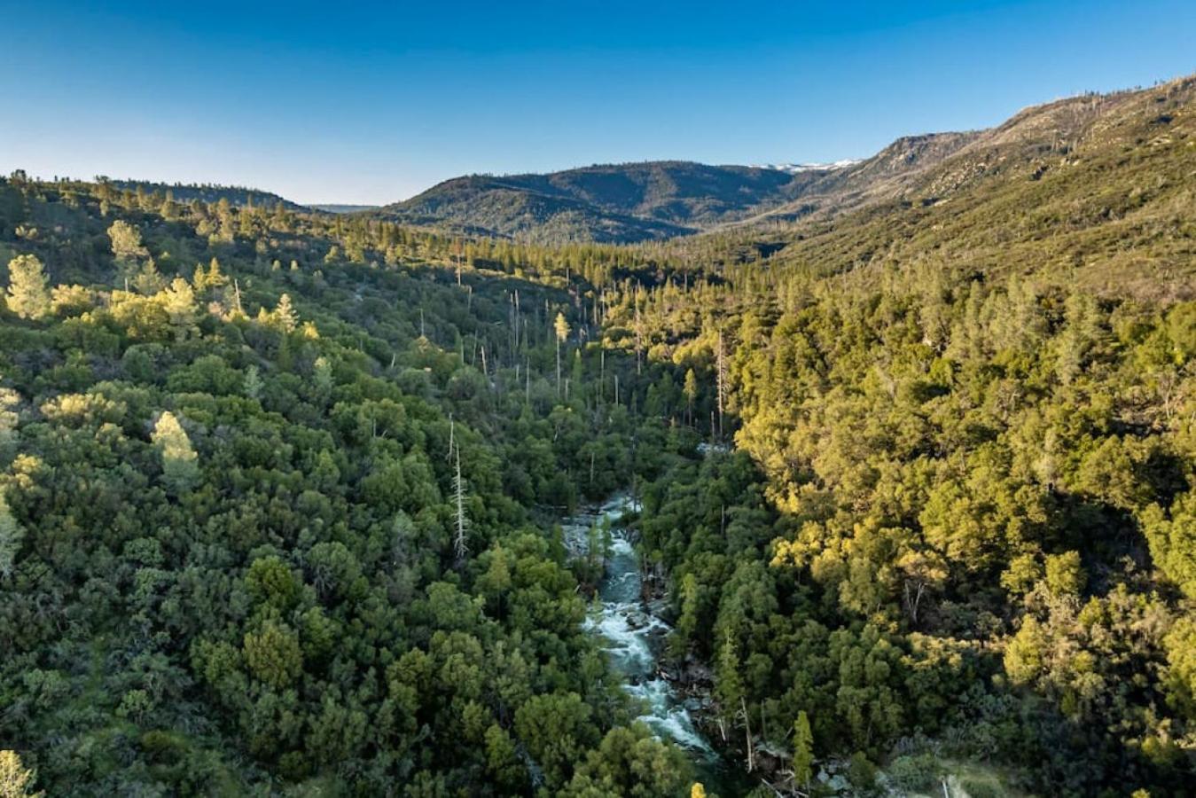 Sierra Vista Lookout Lodge With Creek, Waterfall And Waterholes, Minutes From Bass Lake And Yosemite South Gate North Fork Esterno foto